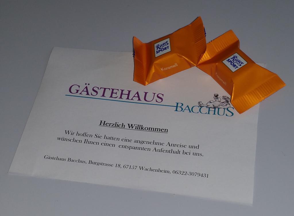 Gaestehaus Bacchus Wachenheim an der Weinstraße Extérieur photo