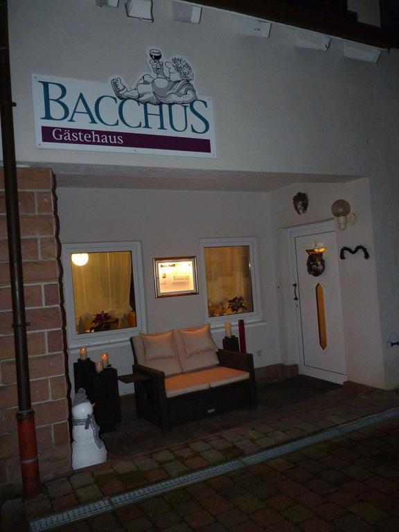Gaestehaus Bacchus Wachenheim an der Weinstraße Extérieur photo