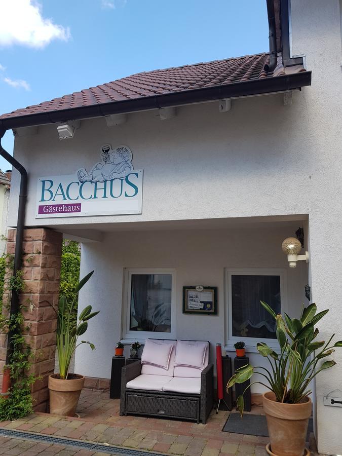 Gaestehaus Bacchus Wachenheim an der Weinstraße Extérieur photo
