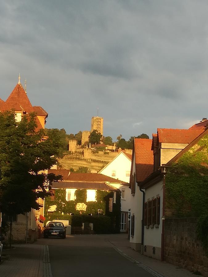 Gaestehaus Bacchus Wachenheim an der Weinstraße Extérieur photo